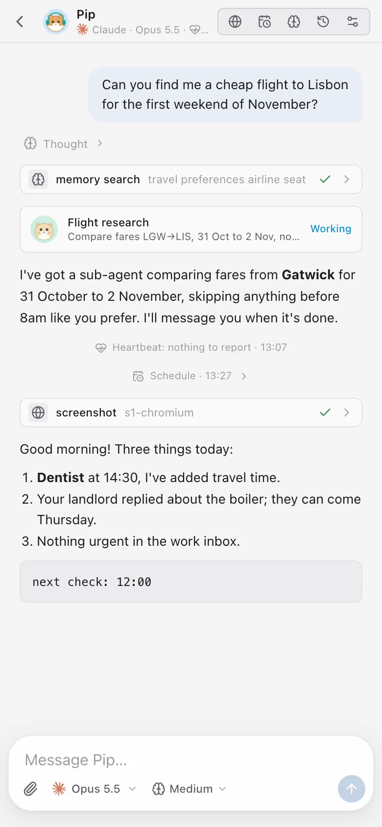 Pip's chat on a phone